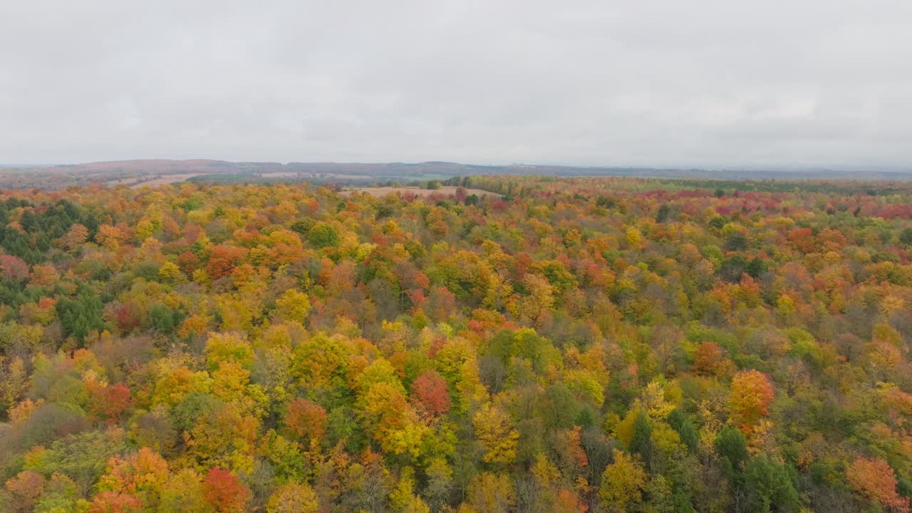 Ascending Over Multi-Color Trees During Autumn In Quebec Province, Canada