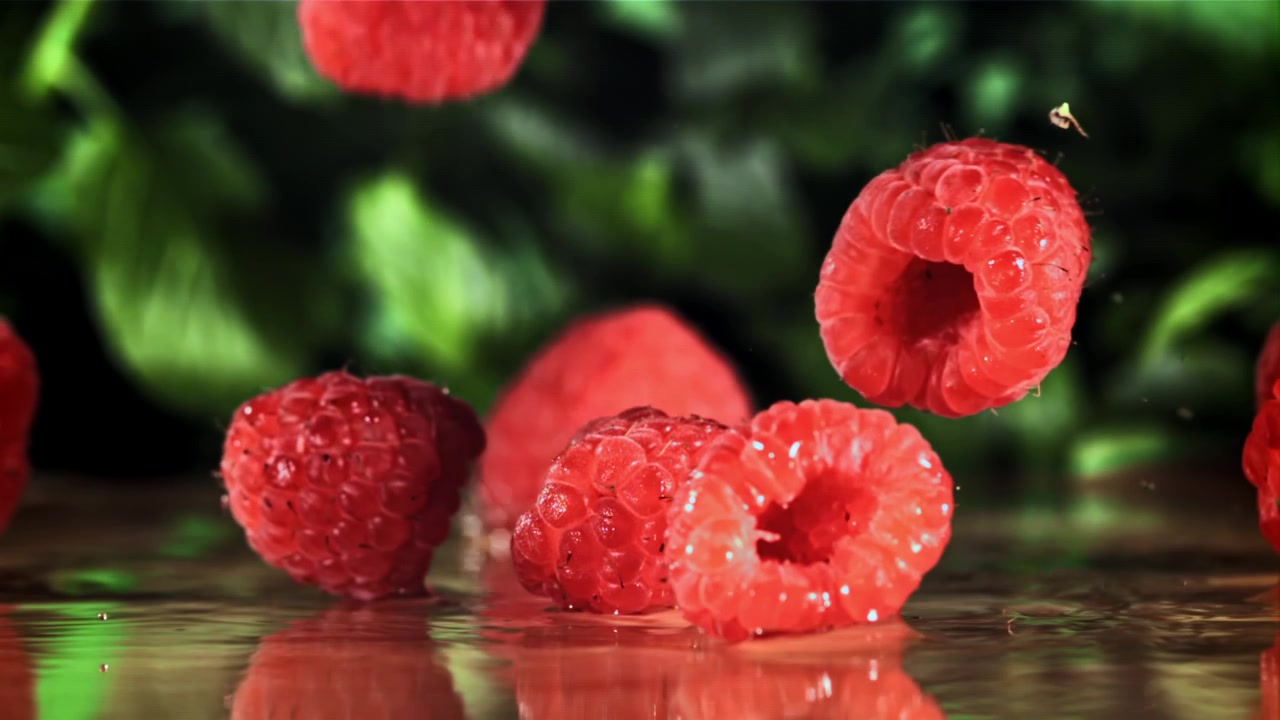 Fresh Raspberries Falling and Splashing in Slow Motion