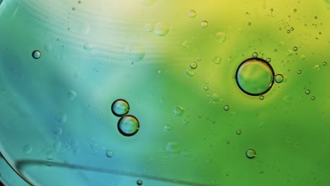 abstract colorful food oil drops bubbles and spheres flowing