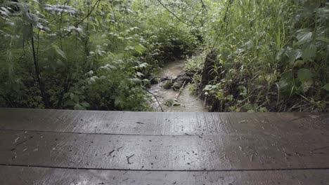 person walking across a wooden bridge over a stream in a forest on a rainy day