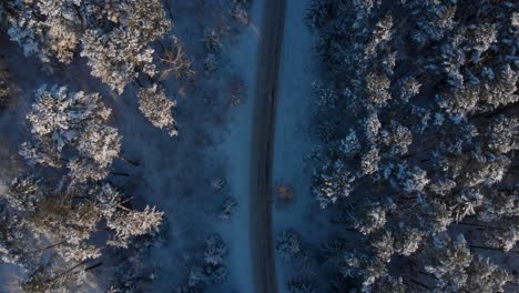 Volando-Lentamente-Hacia-La-Carretera-Rural-Anterior-En-Medio-Del-Frío-Bosque-Nevado-De-Invierno