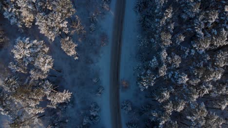 slowly flying towards the above country road in the middle of the cold snowy winter forest
