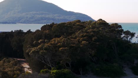 una montaña con un cuerpo de agua en el fondo y árboles en el primer plano, y un cuerpo de agua en el primer plano