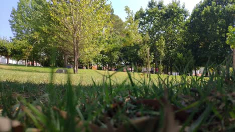 Two-children-play-in-a-public-park-among-the-very-green-trees-that-move-by-the-wind-on-a-bright-and-sunny-summer-afternoon,-shot-blocked-from-below