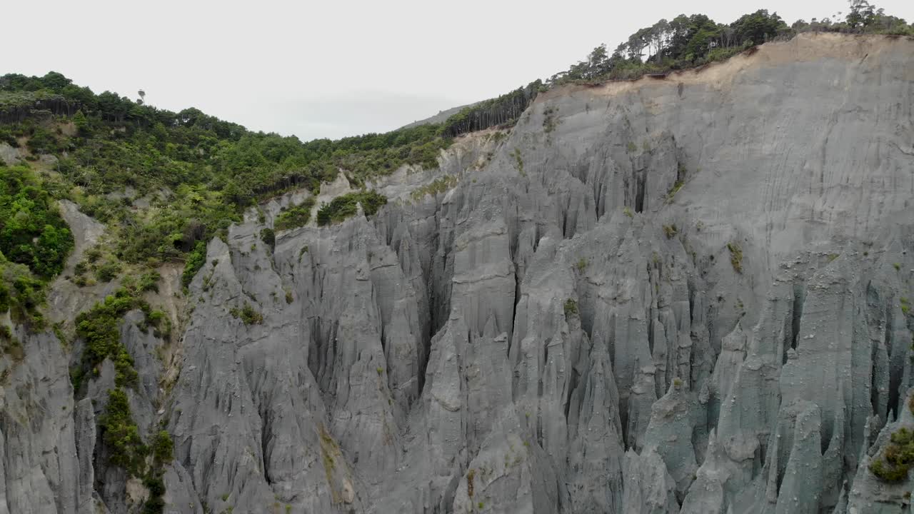 뉴질랜드 와이라라파 에 있는 푸탄기루아 피나클 의 후두