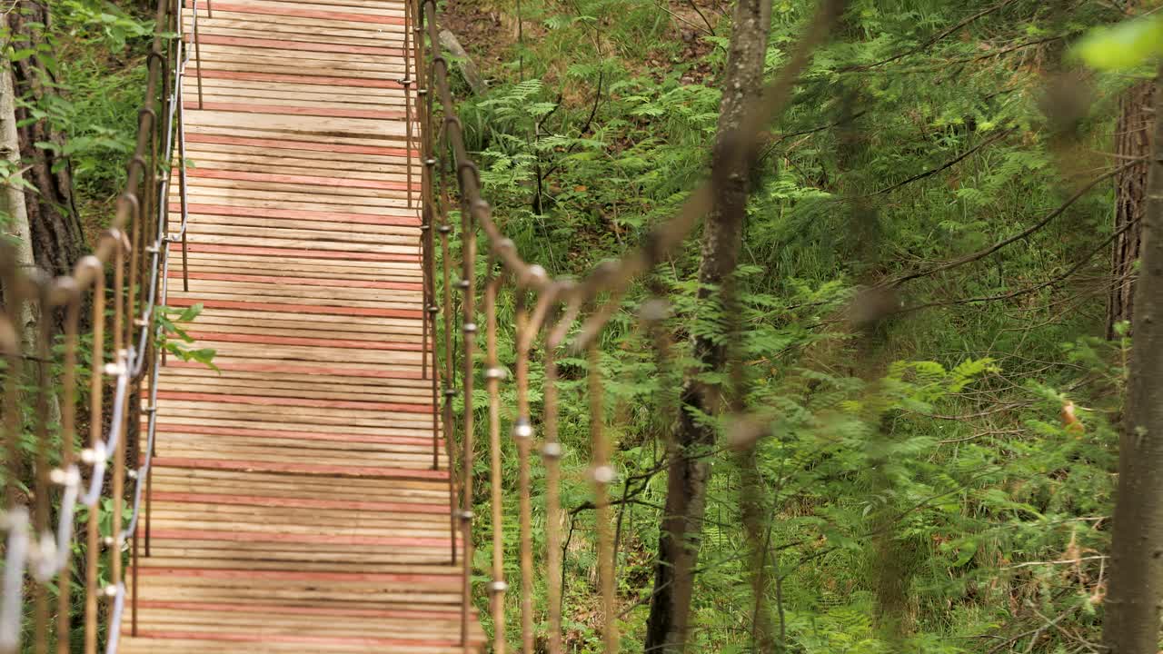 деревянный подвесной мост в лесу