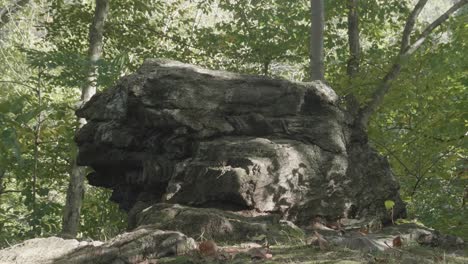 Stones-at-Lover's-leap,-Wissahickon-Creek