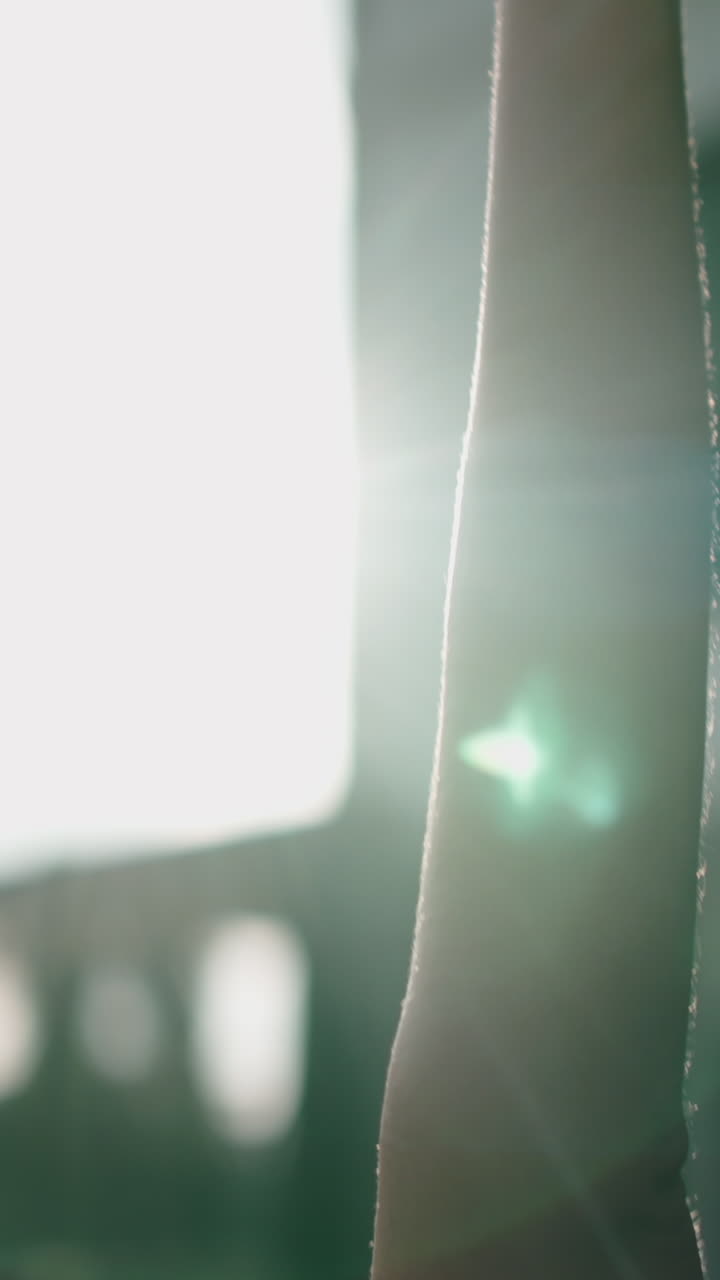 Braccio alla luce del sole