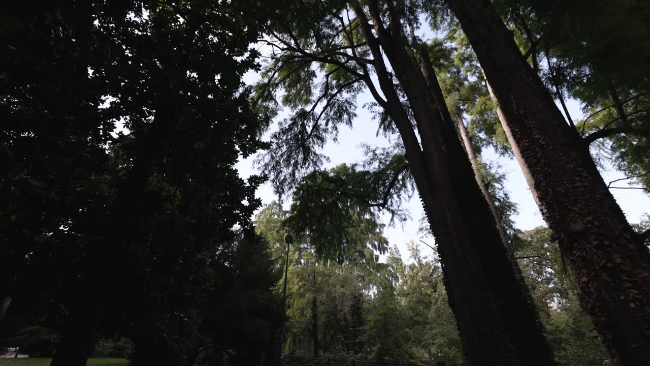 Walk in Giardini Indro Montanelli park in Milan, Italy