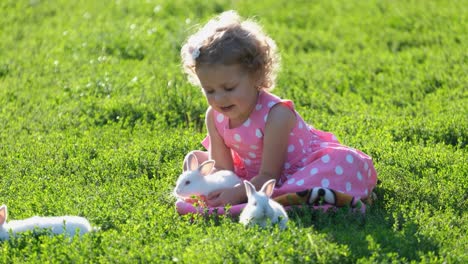 a cute little girl playing with white rabbits on green grass