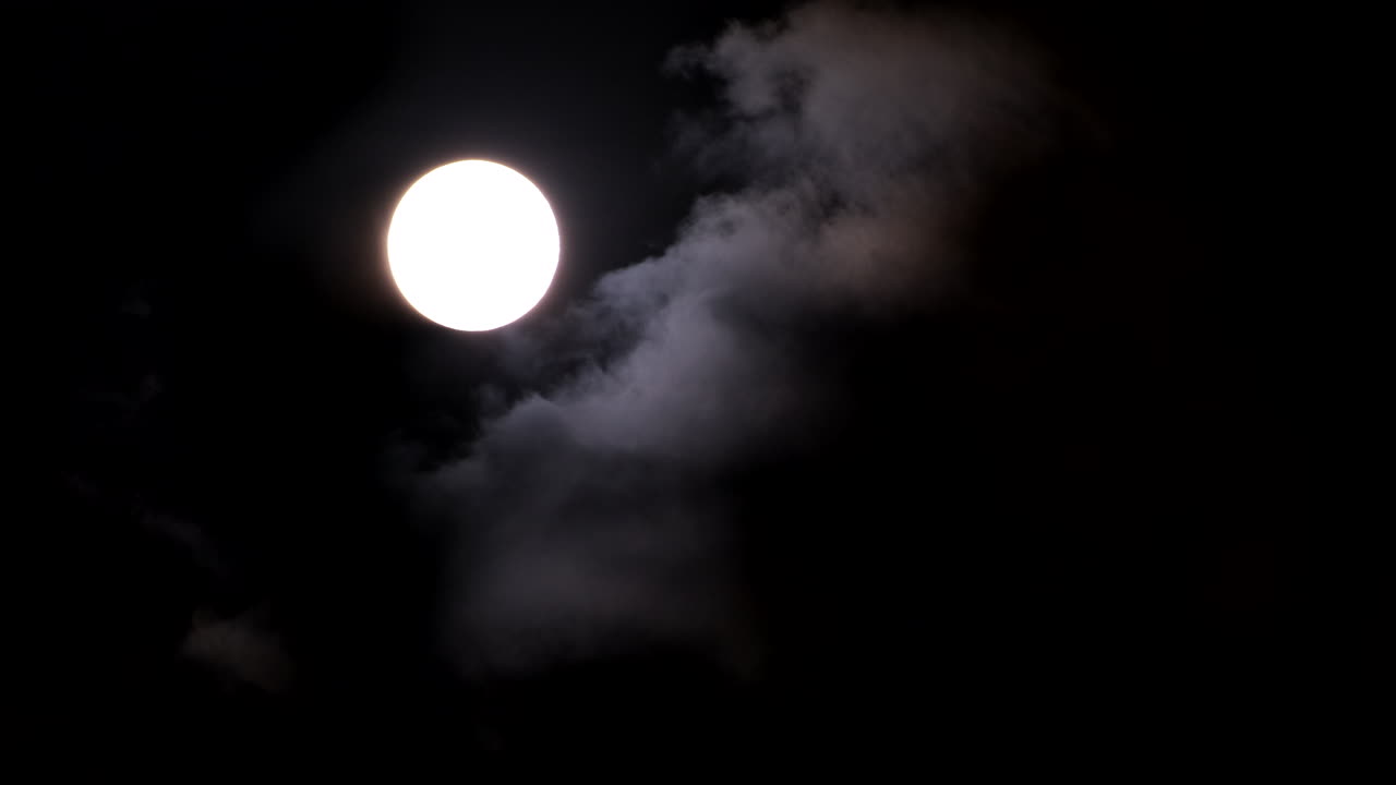 Bright round full moon in dark night sky with clouds and moving foliage in fore