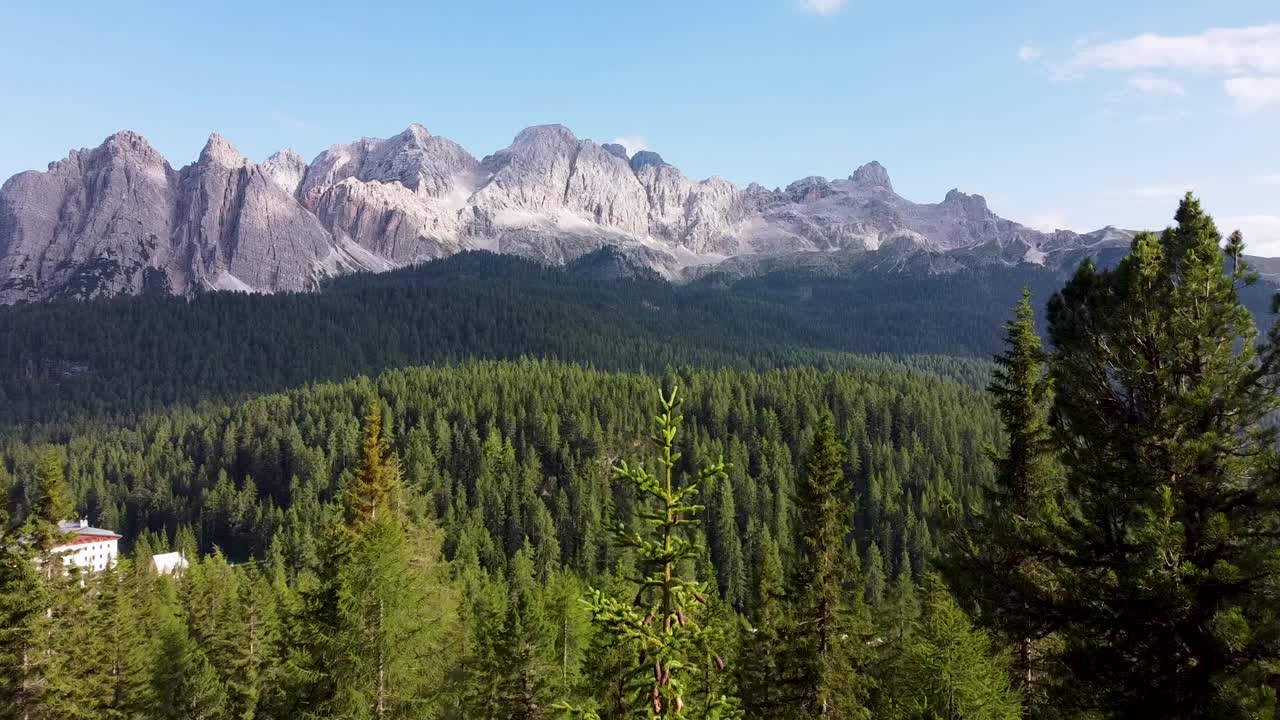 la cordillera de los dolomitas en la distancia y cerca de volar a las copas de los árboles del bosque