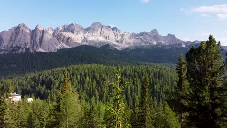 la cordillera de los dolomitas en la distancia y cerca de volar a las copas de los árboles del bosque