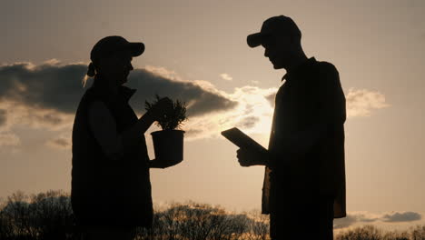 gardener discussion at sunset