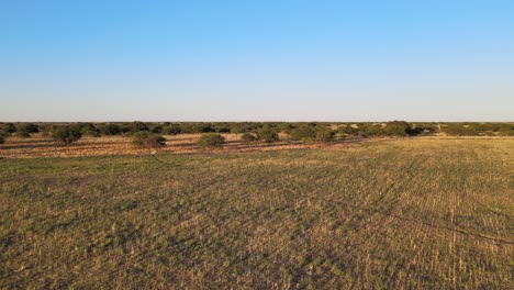 Panoramic-aerial-dolly-above-winding-pathways-cutting-through-San-Luis-desert-landscape