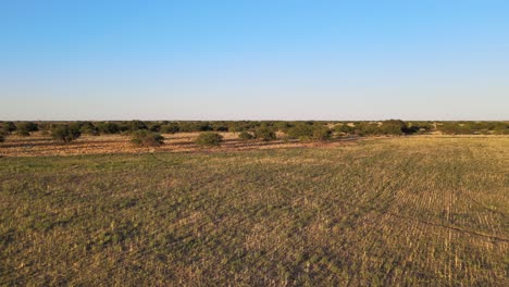 mueble aéreo panorámico por encima de senderos sinuosos que atraviesan el paisaje del desierto de san luis