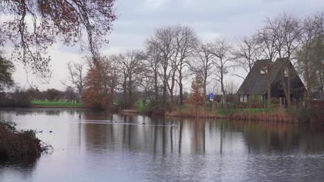 Escena-Rural-Junto-Al-Canal-Del-Río-Con-Pájaros-Flotando-En-Holanda