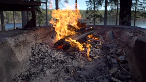 una fogata está ardiendo con un pequeño lago y un bosque en el fondo