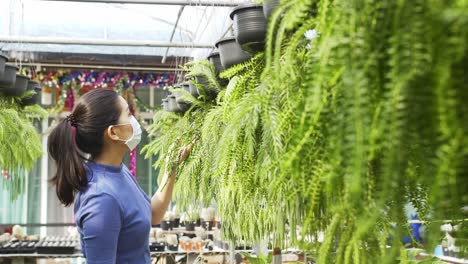 A-masked-asian-woman-touches-the-leaves-and-examines-the-plants-hanging-in-front-of-her-in-a-plant-store