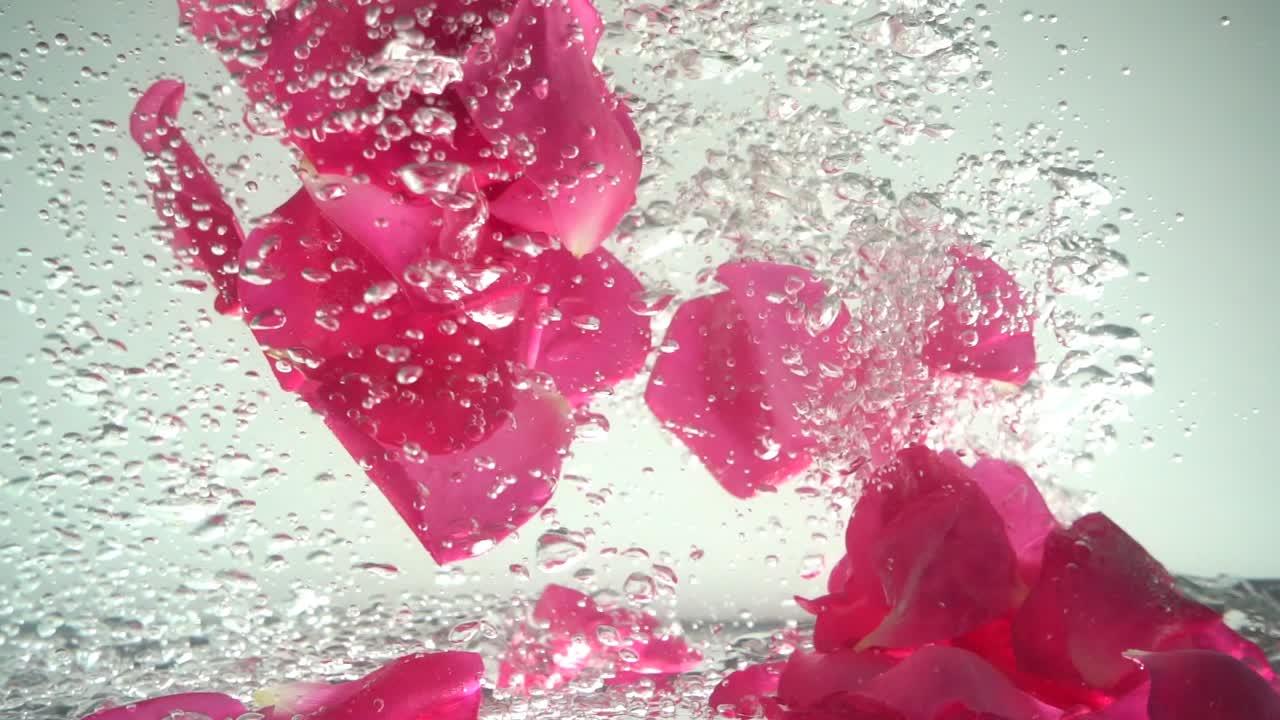 Petali di rose cadono nell'acqua. Sfondo. Movimento rallentato.