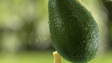 aguacate con rebanadas y salpicaduras cayendo en el fondo del jardín