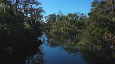 antena de árboles en una laguna en el parque de la ciudad en nueva orleans