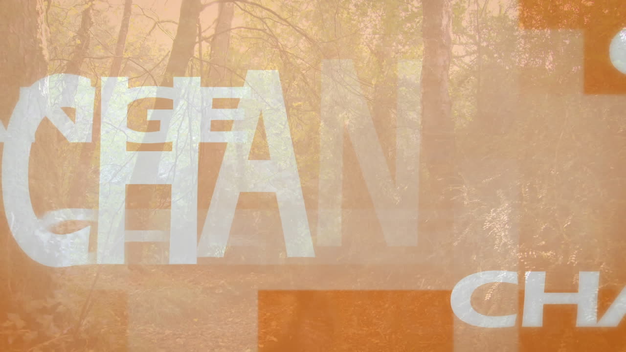 숲 위의 색 변경 텍스트의 애니메이션