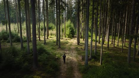 a man with a backpack walks through a spring forest. sun rays filter through the trees, lighting his path. nature awakens, the air is fresh, peaceful.