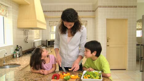mother teaching her children how to cook