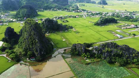 sharp limestone mountains in ninh binh scattered over a rice field in vietnam