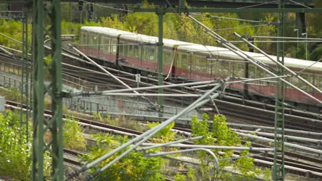 train moving through overgrown tracks in an urban area, viewed from an elevated angle