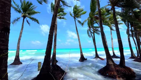 crystal-clear waves crash beneath swaying palm trees on a sunny tropical beach—ideal for travel, relaxation, or destination content