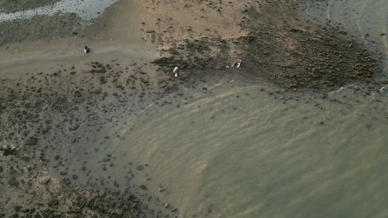 People Gathering Shellfish at Low Tide