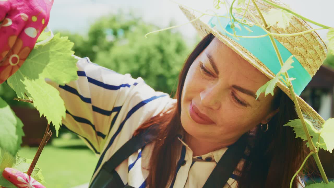 Woman Gardening in a Vineyard