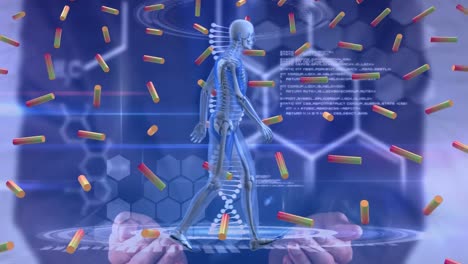 animación del procesamiento de datos sobre el modelo del cuerpo humano