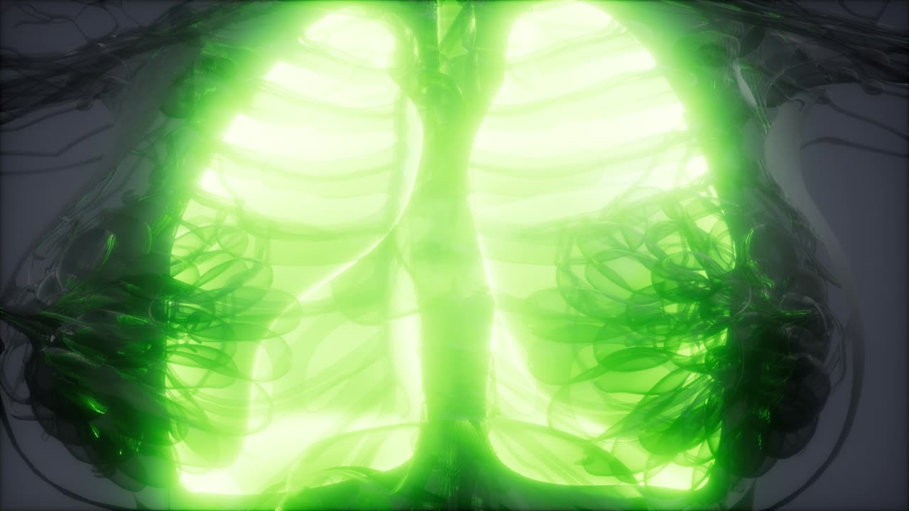 examen radiológico de los pulmones humanos