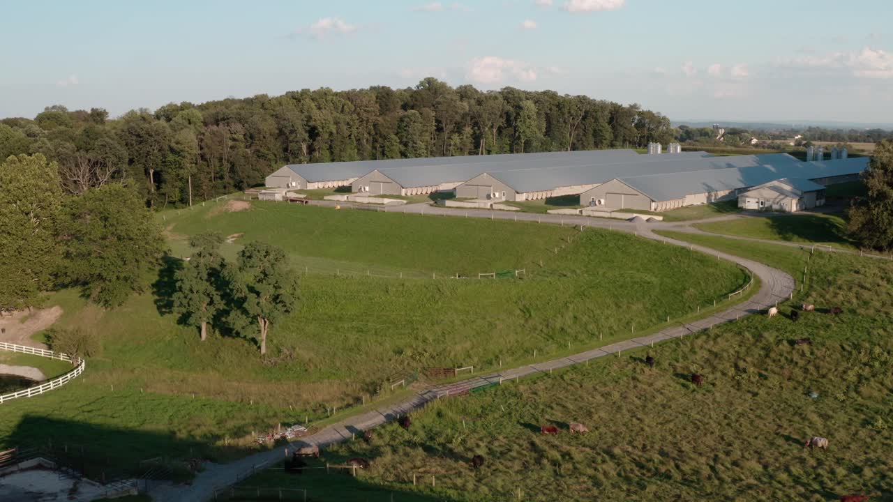 acercamiento aéreo al gallinero, granja industrial en el campo rural