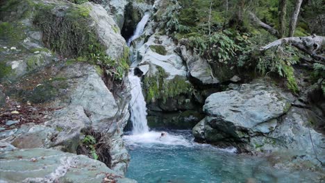 Man-in-wetsuit-jumps-from-rainforest-into-icy-clear-canyon-pool-water