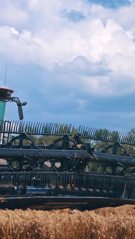 combine harvesting corn. agricultural machine collecting golden ripe wheat