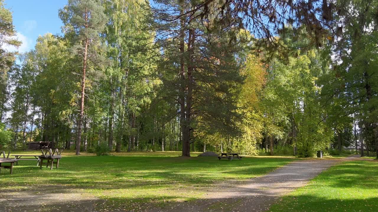 toma panorámica de un bosque urbano con árboles amarillos y hierba