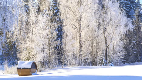 white snow covered winter scenery