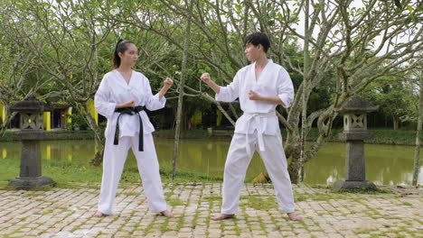 couple practising martial arts together