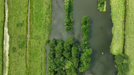 Vista-Aérea-De-Pájaros-De-Canales-Y-árboles-Y-Un-Pequeño-Bote-Blanco-Que-Emerge-De-Debajo-De-Los-árboles,-Tierra-De-Pólder-En-La-Región-Krimpenerwaard-De-Los-Países-Bajos