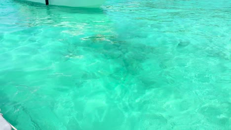 turquoise water and boat