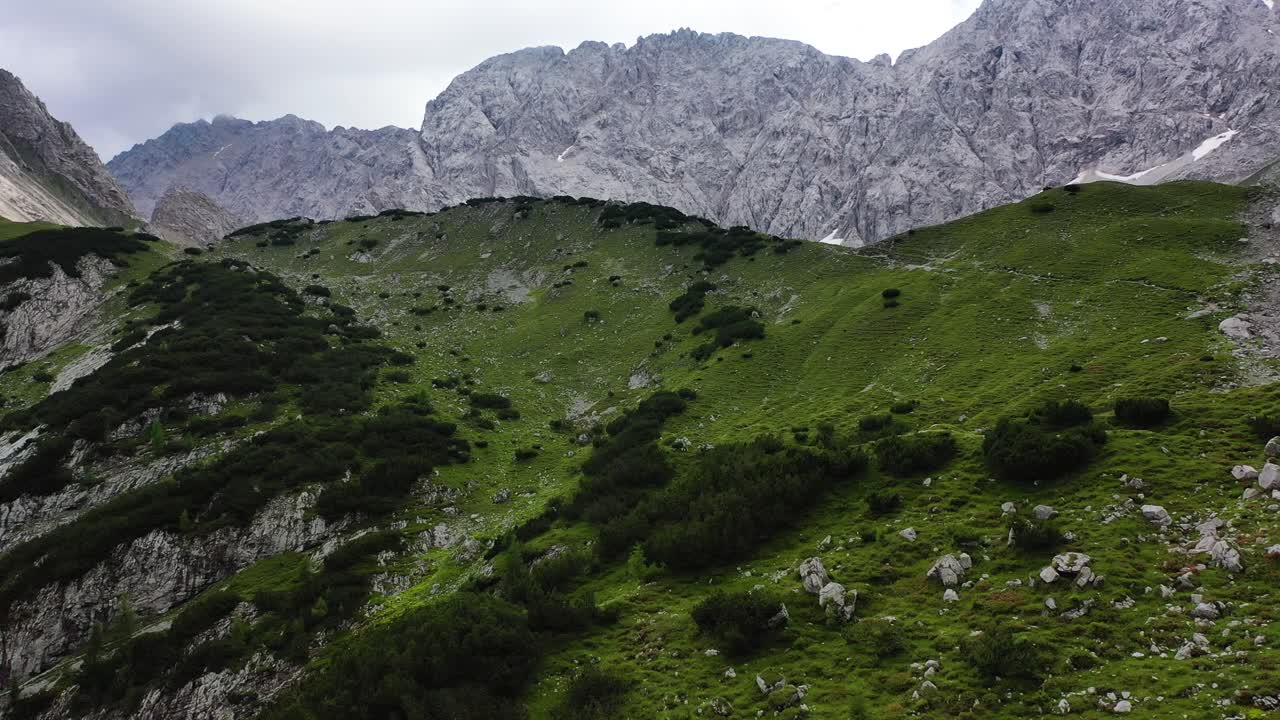 alpes austríacos arbustos picos de las montañas aire