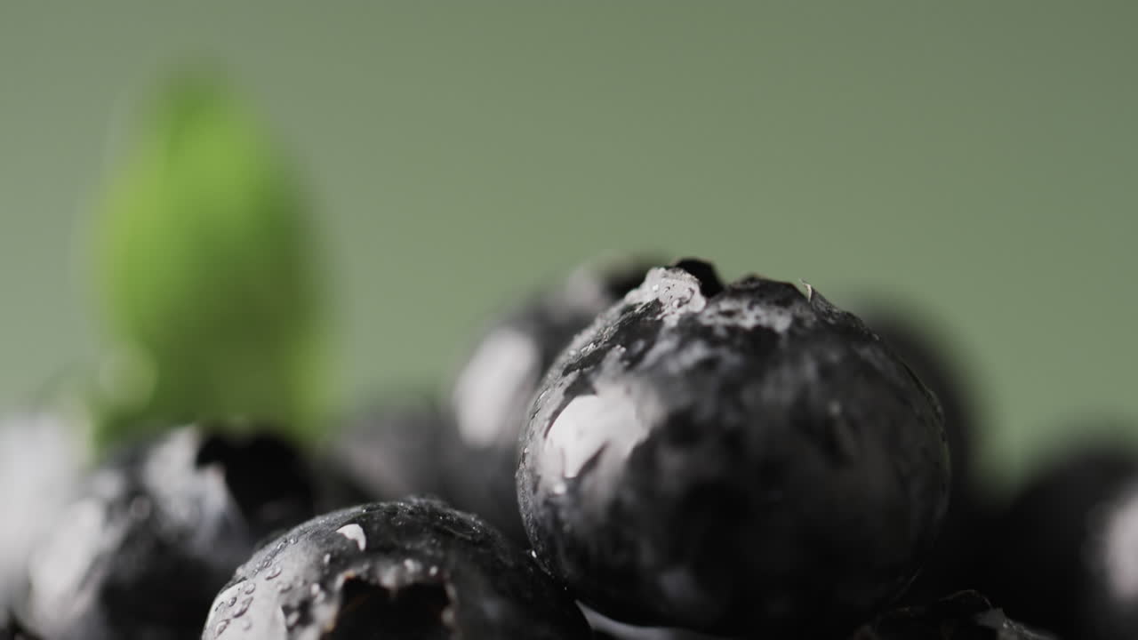 녹색 배경에 복사 공간과 함께 블루베리의 클로즈업의 마이크로 비디오