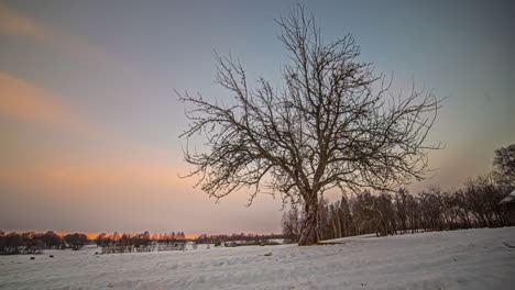 puesta de sol de la noche con el paisaje invernal y el árbol grande contra un cielo naranja time-lapse, ángulo bajo