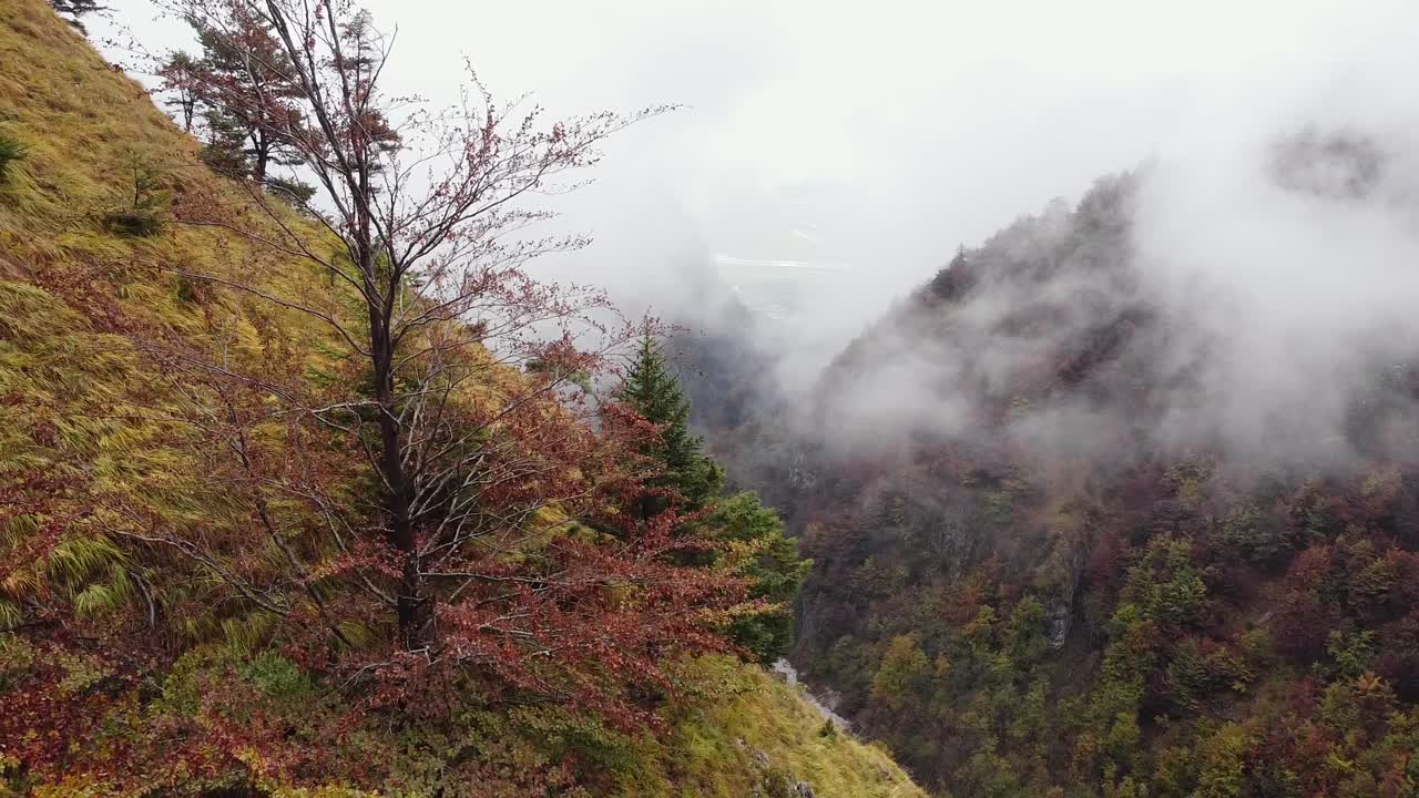 가을에 가파른 산 언덕의 영화적인 공중 풍경