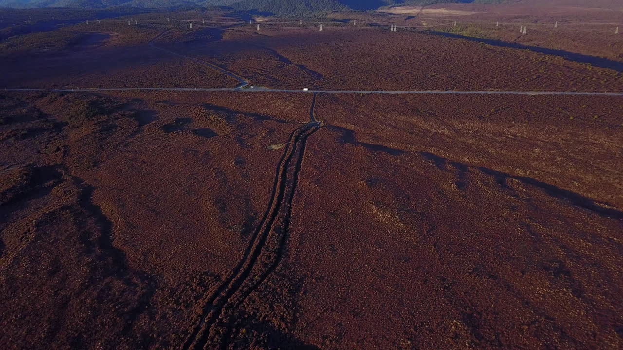 toma aérea de drones de llanuras de arbustos herbosos