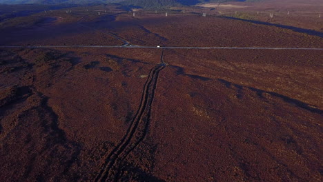 toma aérea de drones de llanuras de arbustos herbosos